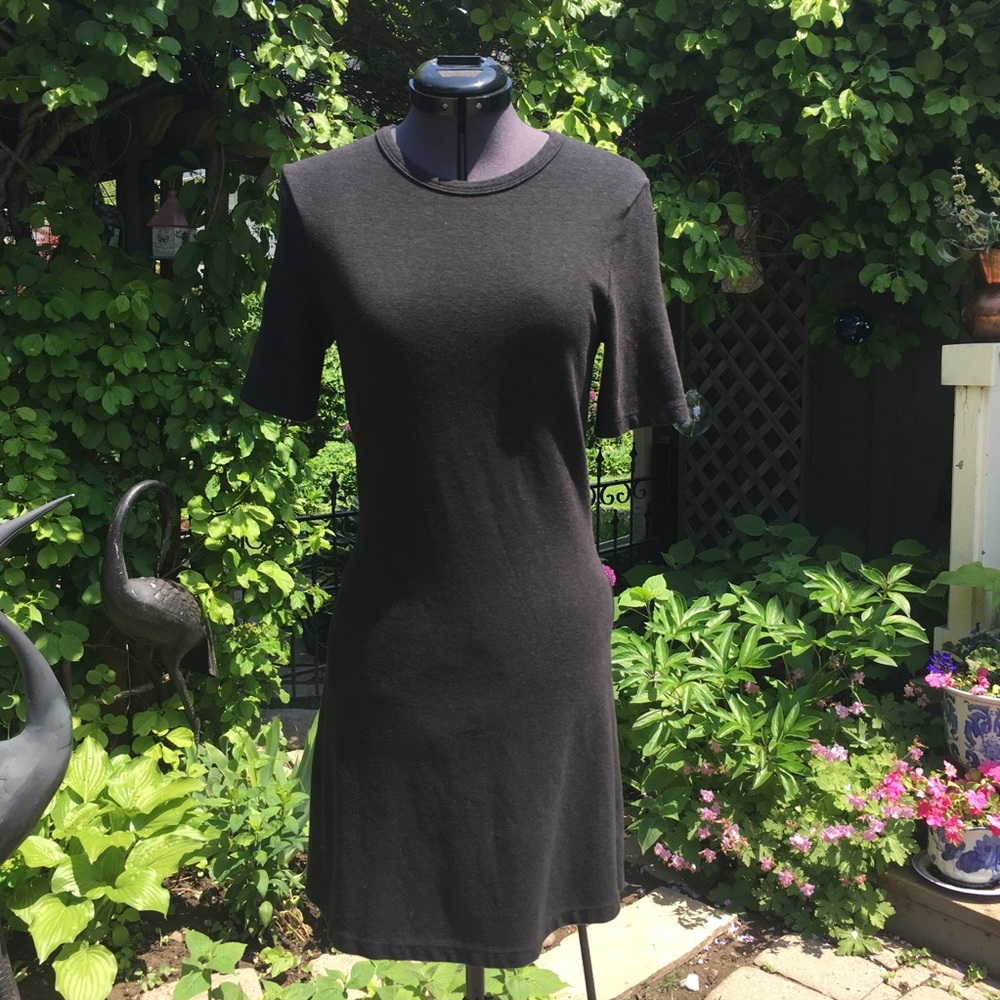 American Apparel S/S Fitted T-shirt Dress